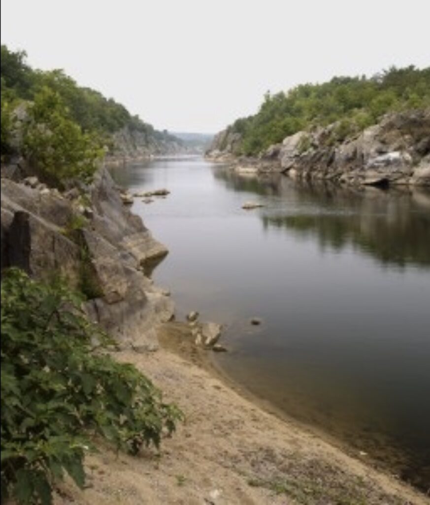 Potomar Water